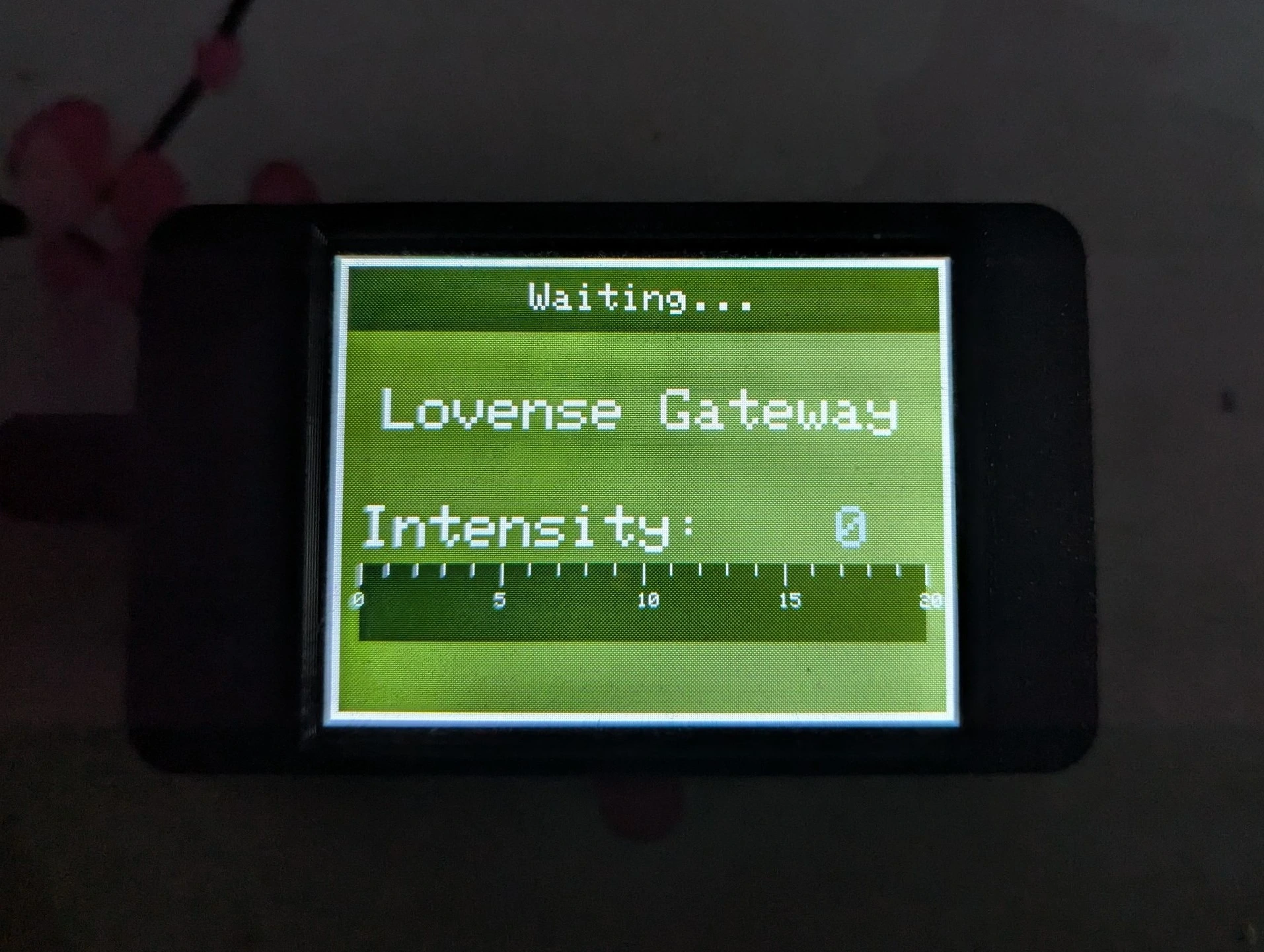 LoveSpouse ESP32 Gateway
